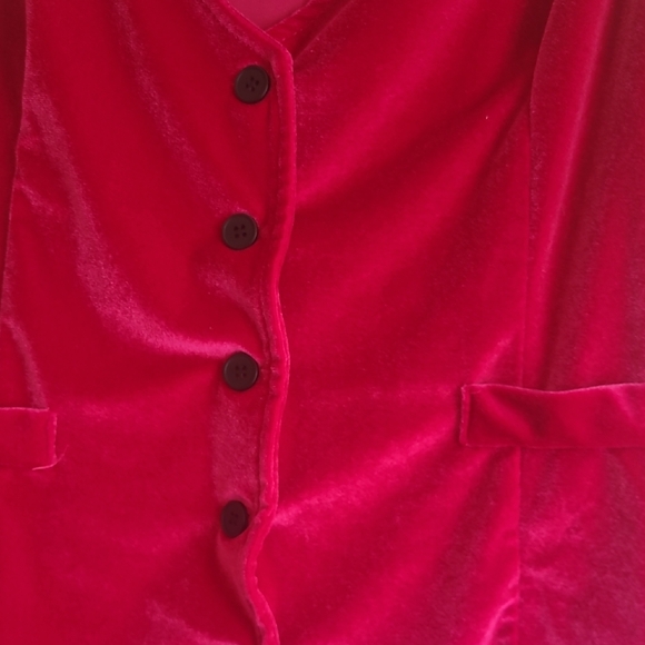 Velvet Button-Down Vest - Picture 5 of 5